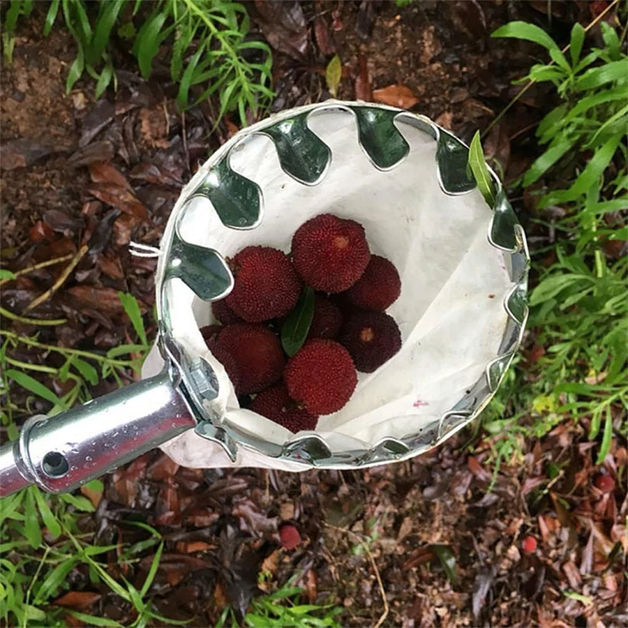 Tree Fruit Picker Practical Ga - огляд і ціна Agriculture Farming Practices