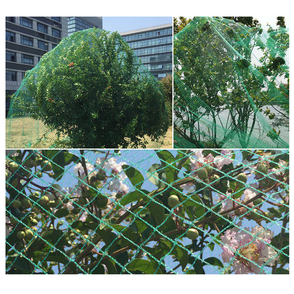15M Anti Bird Net Green Fruit  - огляд і ціна Agriculture Farming Net