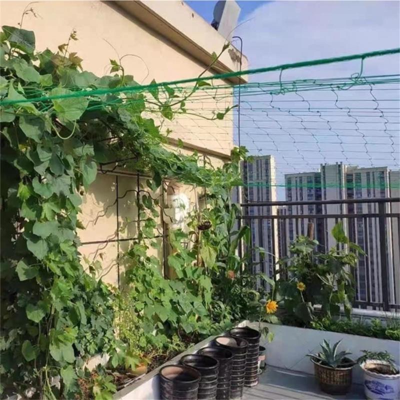 62KD Mesh 9 Strands Agricultur - огляд і ціна Agriculture Farming Net